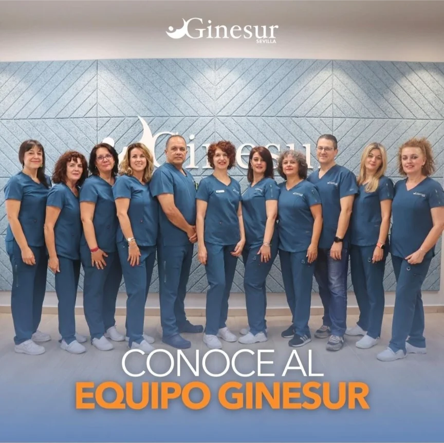 Ginesur Sevilla | ACAI